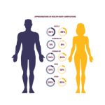 محاسبه درصد چربی بدن