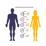 محاسبه درصد چربی بدن