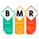محاسبه سوخت و ساز پایه BMR فیت پرو