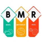 محاسبه سوخت و ساز پایه BMR فیت پرو