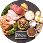 محاسبه پروتئین روزانه