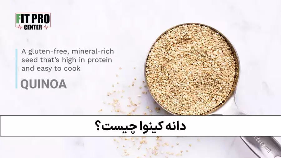 دانه کینوا چیست فیت پرو Fitpro