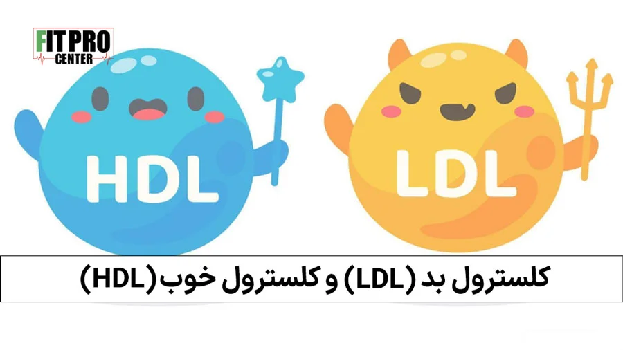 کلسترول بد و کلسترول خوب HDL LDL fitpro