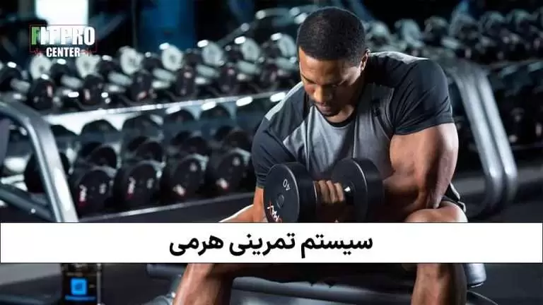 سیستم تمرینی هرمی