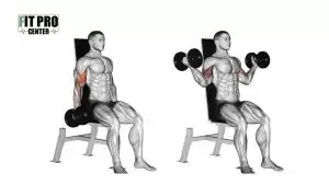 جلوبازو دمبل از بیرون نشسته