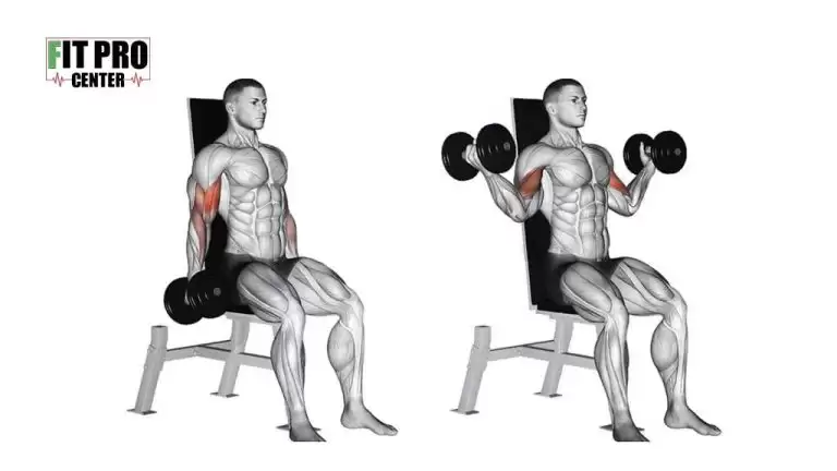 جلوبازو دمبل از بیرون نشسته