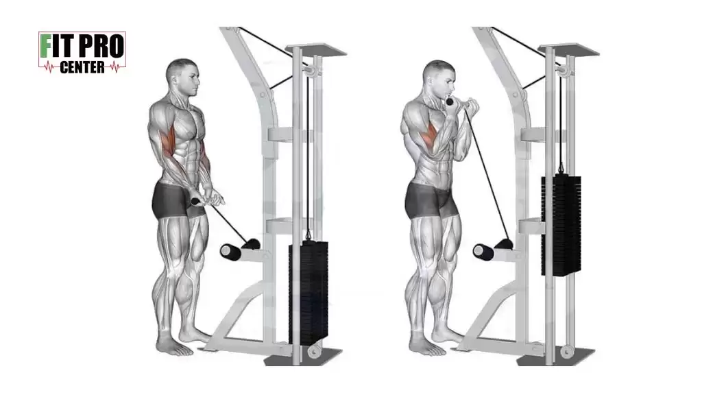 نحوه جلوبازو سیمکش دست جمع و انفجار عضلات بازو