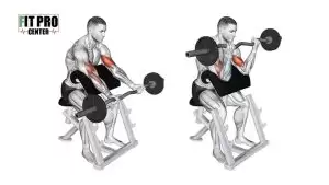 آموزش جلوبازو لاری هالتر EZ