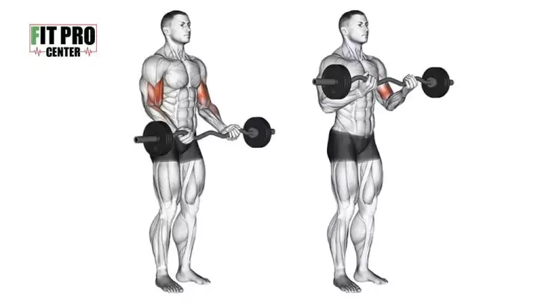 آموزش اجرای جلوبازو هالتر EZ