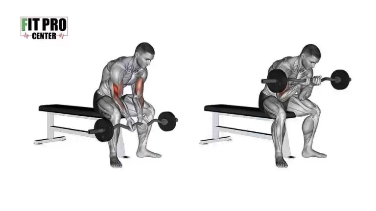 جلوبازو هالتز EZ دست جمع نشسته