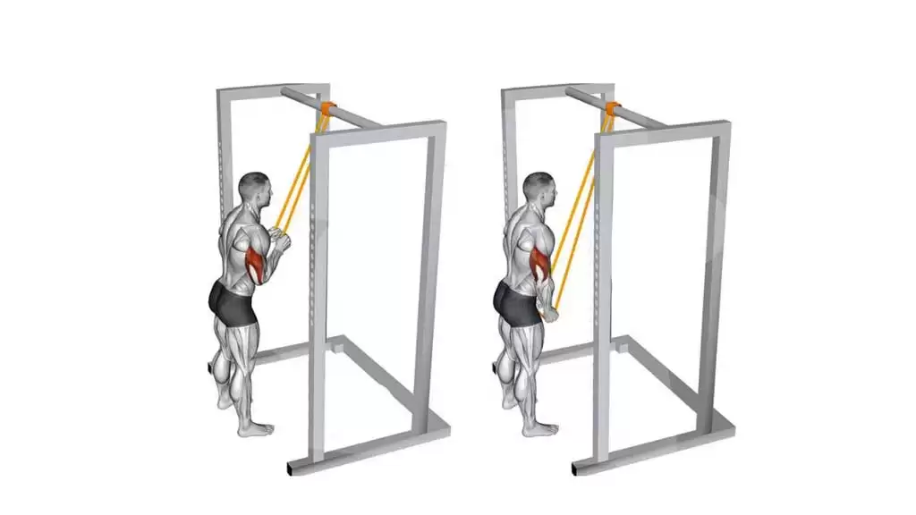 آموزش پشت بازو با کش از جلو – تقویت عضلات سهسر بازویی با کش مقاومتی