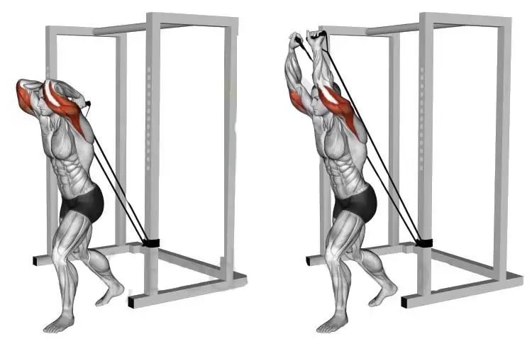 پشت بازو با کش از پشت