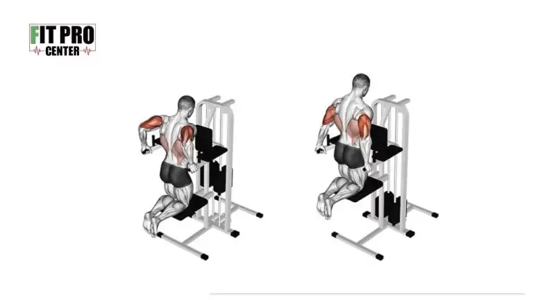 پشت بازو پالل دستگاه کمکی