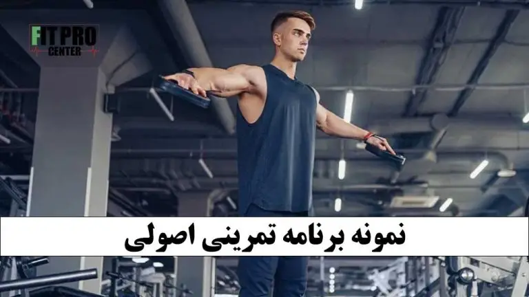 نمونه برنامه تمرینی اصولی